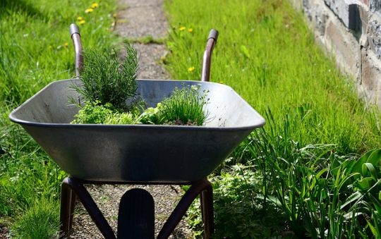 Guide ultime pour choisir les meilleures roues de brouettes