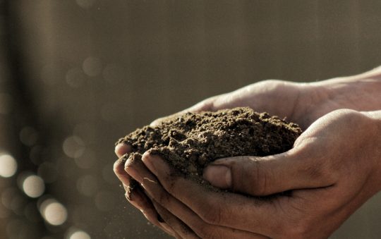 Nains de jardin, des sculptures à votre image !