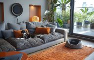 Intégrer des accessoires pour chien tendance à votre décoration d’intérieur : des idées élégantes et pratiques