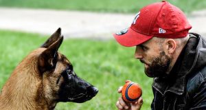 Avant d’adopter un chien : pourquoi faut-il s’intéresser à son caractère plutôt qu’à son apparence ?