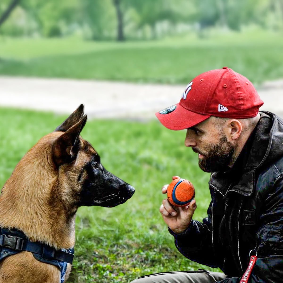 Avant d’adopter un chien : pourquoi faut-il s’intéresser à son caractère plutôt qu’à son apparence ?