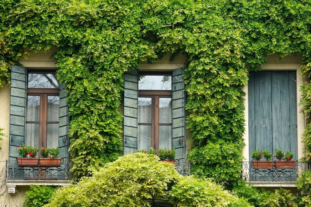 Découvrir Vellune quartier autrement : balcons, cours et inspirations végétales